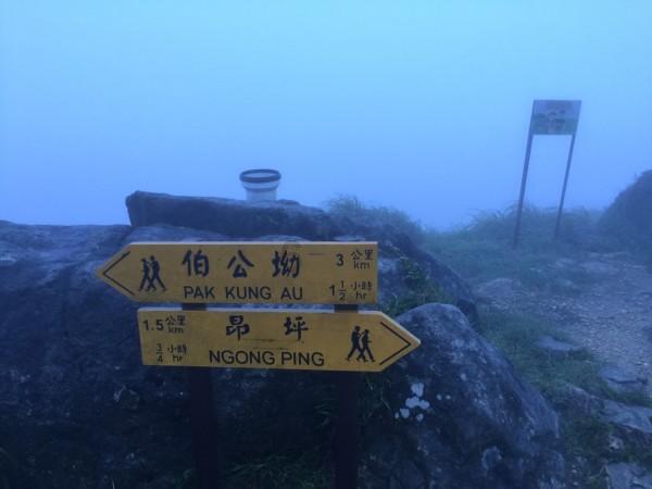 三小只僵尸的游戏时间4