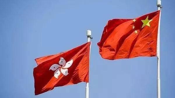 救援受困的小野猫