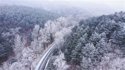 拯救迷路小公主